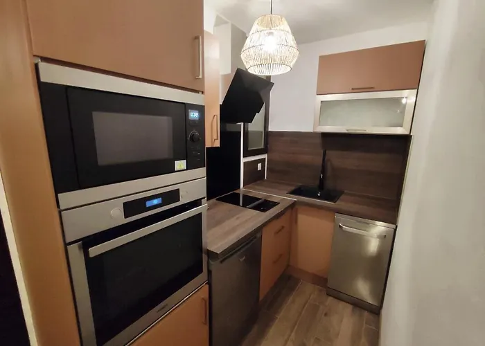 Apartament L'oasis Du Chateau ! 